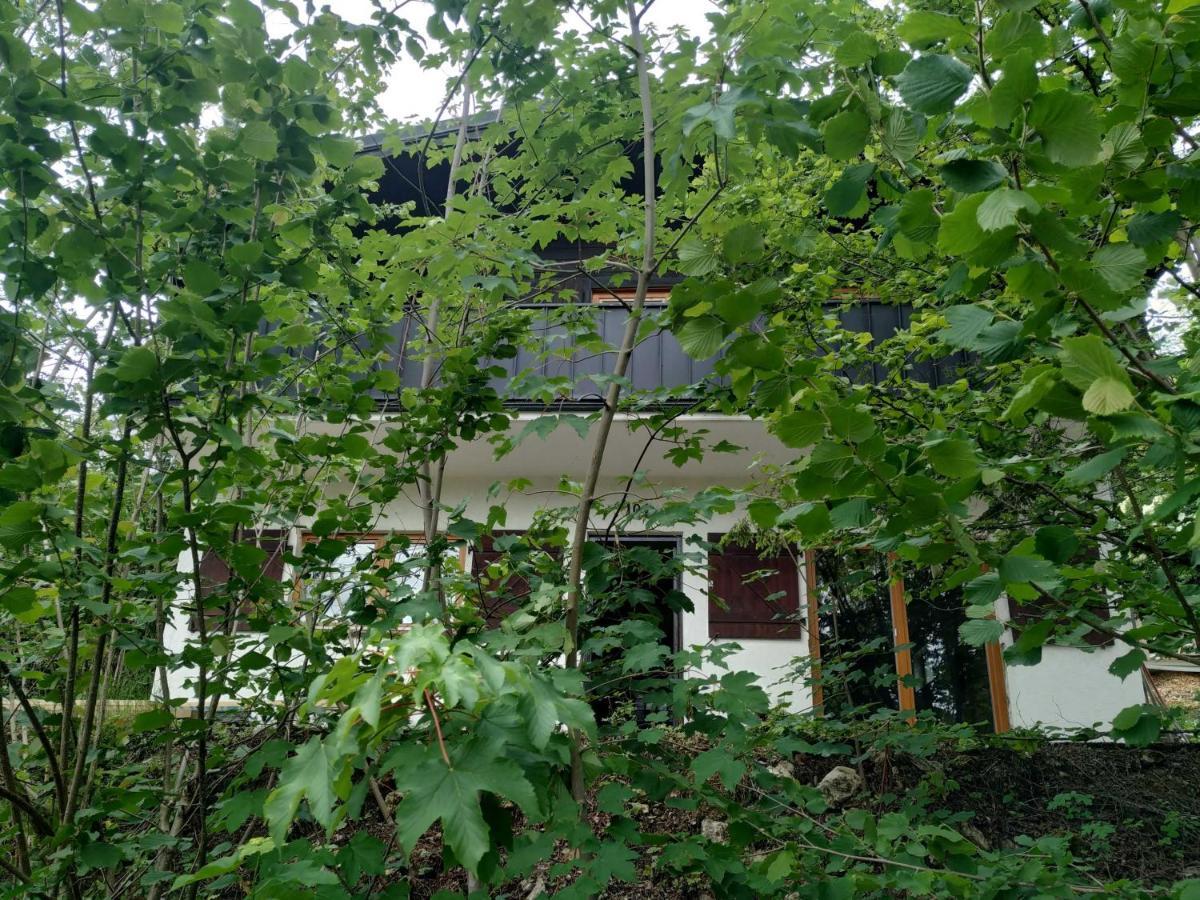 Apartment Frankenglueck *