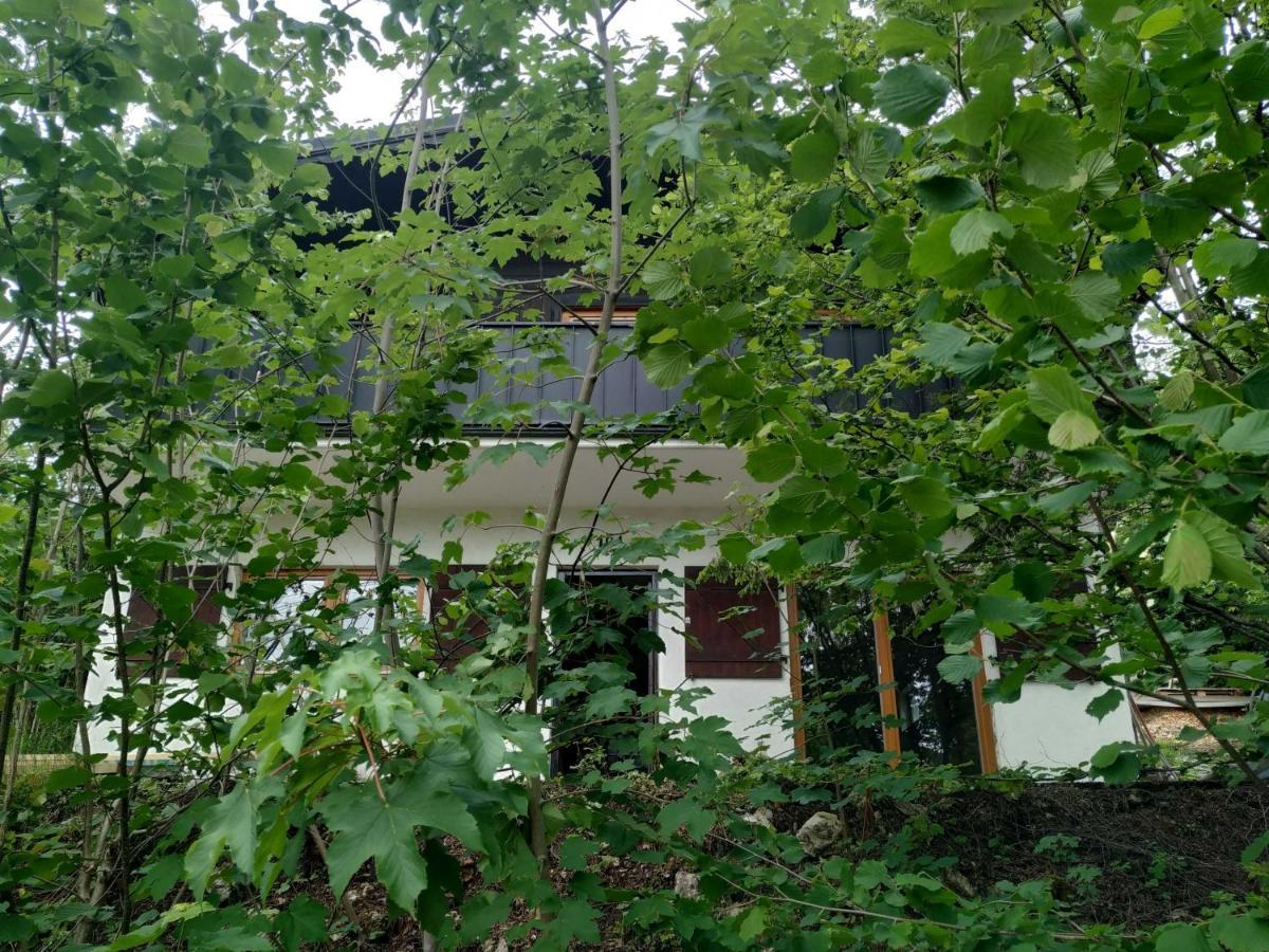 Frankenglueck Apartment *