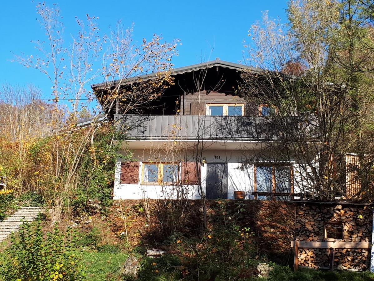 Frankenglueck *